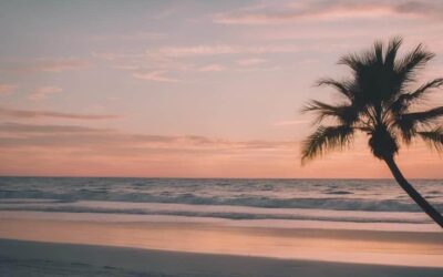 Pinellas Living: Coastal Living at Its Best