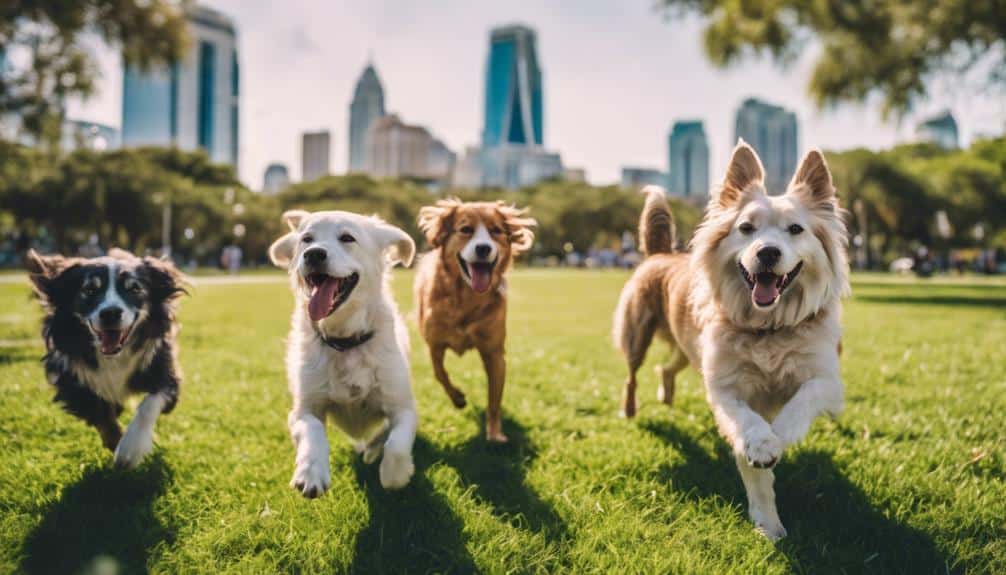 Tampa Unleashed: The Best Dog Parks