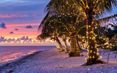 Festive Stroll in Palm Beach County: Explore Palm Beach Fun